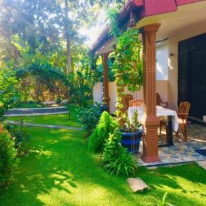 Aloe Home Stay