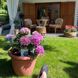 Garden House