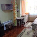 Apartment on Gagarina 24 