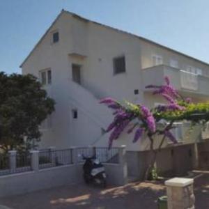 Apartment Bozovic