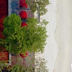 The Secret Pool Villas By The Library Koh Samui