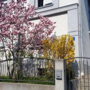 Apartments with WiFi Zagreb - 16085