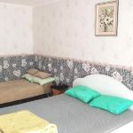 Apartment on Airport Street Yemel'yanovo