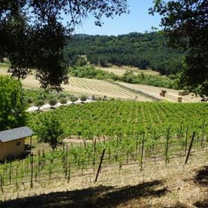 Tentrr - Vineyard Glamping