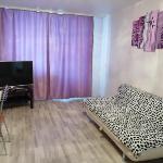 Apartament on Baikalskaya 102