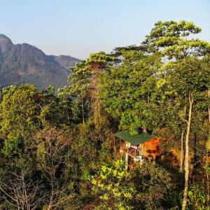 Tree Houses by Jungle River