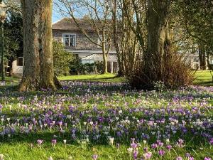 Woodlands Hall Hotel, Llanrug