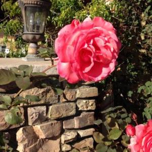 Hotels near LA Costa Canyon High School - Leucadia Beach Inn