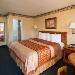 Hotels near de Young Museum - Geary Parkway Motel