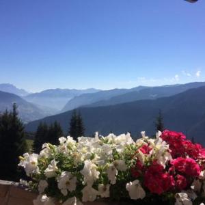 Simal Alm