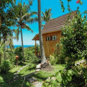 Atuh Forest Cottage