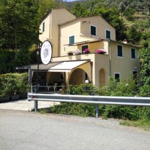 Il Ghiro