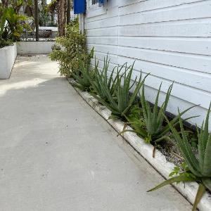Downtown Nassau Oasis Unit 3