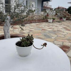Xhonis Apartments