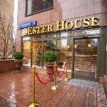 Hostel Ester House