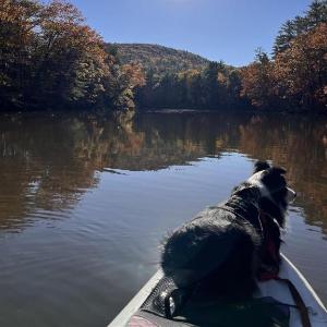 THE RIVER HOUSE LIMIT 6 home